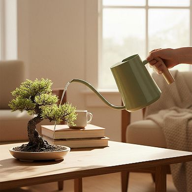Watering Can Indoor Plants Metal Long Spout Decorative Comfortable Wooden Handle Premium Material