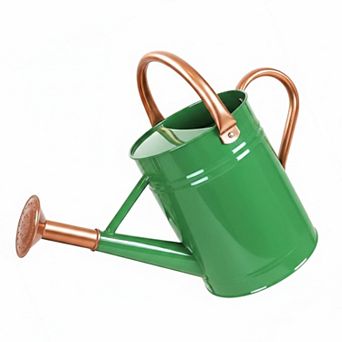 1 Gallon Metal Watering Can for Garden Plants with Sprinkler Head