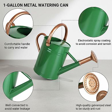 1 Gallon Metal Watering Can for Garden Plants with Sprinkler Head