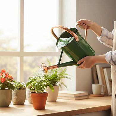 1 Gallon Metal Watering Can for Garden Plants with Sprinkler Head
