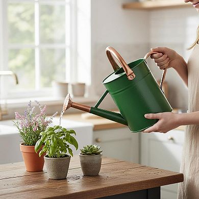 1 Gallon Metal Watering Can for Garden Plants with Sprinkler Head