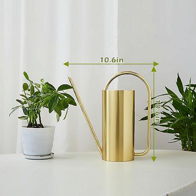 Stainless Steel Watering Can Long Spout Comfortable Handle Indoor Plants 50oz Decorative