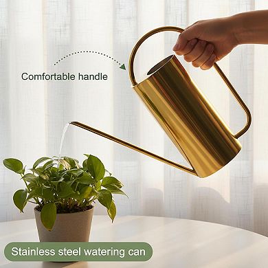 Stainless Steel Watering Can Long Spout Comfortable Handle Indoor Plants 50oz Decorative