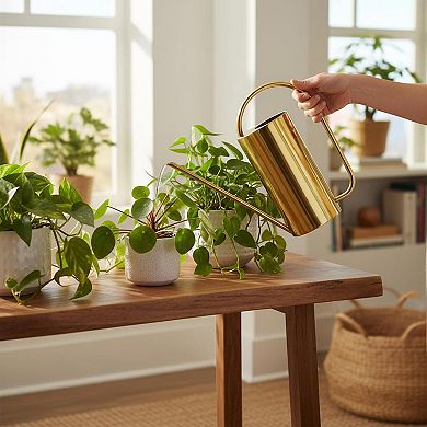 Stainless Steel Watering Can Long Spout Comfortable Handle Indoor Plants 50oz Decorative