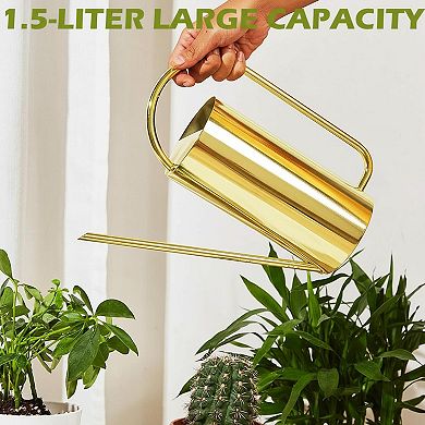 Stainless Steel Watering Can Long Spout Comfortable Handle Indoor Plants 50oz Decorative