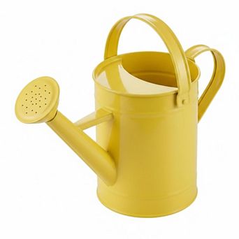 Metal Watering Can 55oz Removable Spout Long Garden Indoor Outdoor