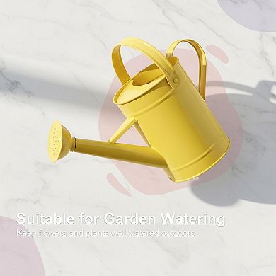 Metal Watering Can 55oz Removable Spout Long Garden Indoor Outdoor