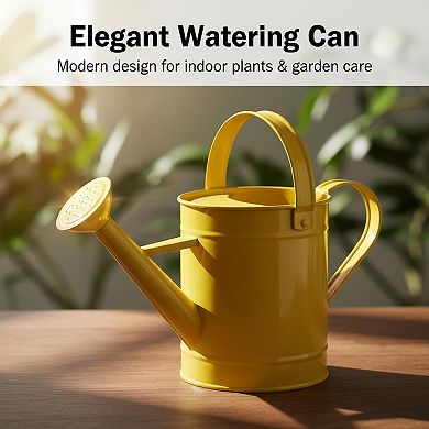 Metal Watering Can 55oz Removable Spout Long Garden Indoor Outdoor