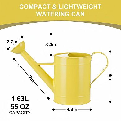 Metal Watering Can 55oz Removable Spout Long Garden Indoor Outdoor