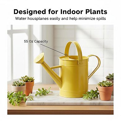 Metal Watering Can 55oz Removable Spout Long Garden Indoor Outdoor