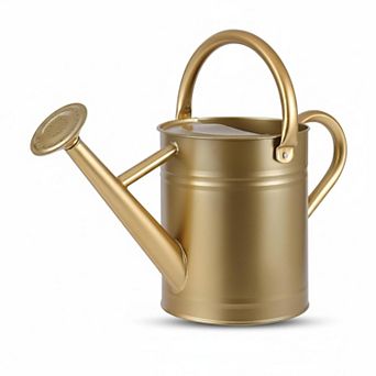 1 Gallon Galvanized Steel Watering Can Removable Spout Ergonomic Handle Indoor Outdoor Gardening