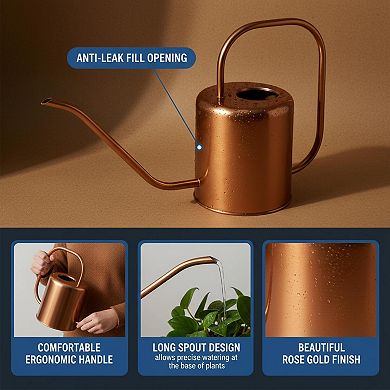 Stainless Steel Watering Can Long Spout 54 Oz Indoor Outdoor Plants