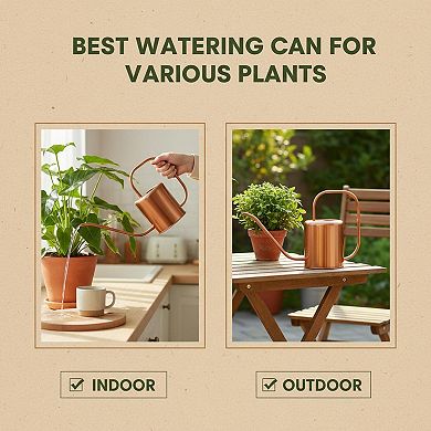 Stainless Steel Watering Can Long Spout 54 Oz Indoor Outdoor Plants