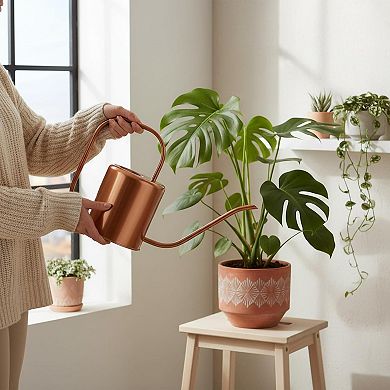 Stainless Steel Watering Can Long Spout 54 Oz Indoor Outdoor Plants
