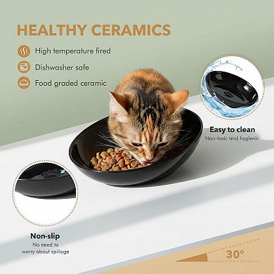 Elevated Cat Ceramic Food Bowl Whisker Friendly Two Heights Stand Anti-slip Raised Plates