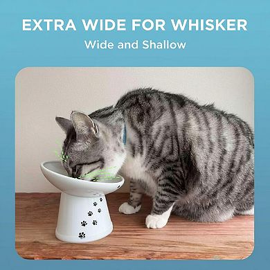 Raised Ceramic Cat Bowl 15° Tilted Whisker Relief Non-slip Anti Vomiting 1.5-cup Microwave