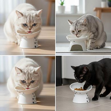 Raised Ceramic Cat Bowl 15° Tilted Whisker Relief Non-slip Anti Vomiting 1.5-cup Microwave