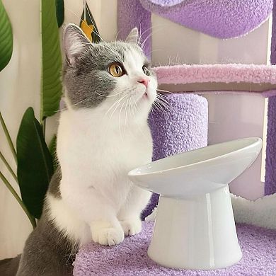 Raised Ceramic Cat Bowl 15° Tilted Whisker Relief Non-slip Anti Vomiting 1.5-cup Microwave