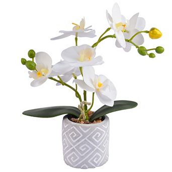 Artificial Orchid Flowers Real Touch Potted White Small Vase