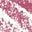 Pink Chiffon