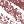 Plum Pashmina