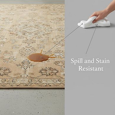 Hallway Runner Rug Washable Non Slip Soft Low Pile Indoor Farmhouse Carpet