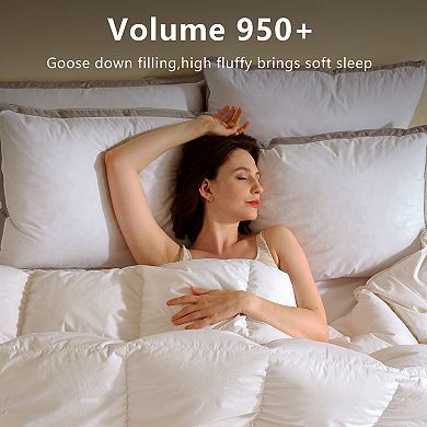 Inhand Goose Feather Down Pillows with 100% Cotton Cover, Medium Firm Soft Support Pillow (Set of 2)