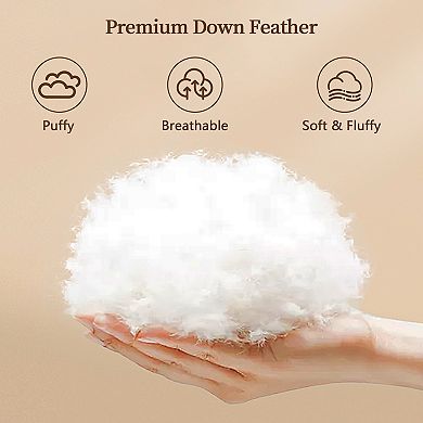 Inhand All Season Down Feather Comforter, Luxury Warm Fluffy Duvet Insert with Cotton Blend Cover