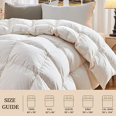 Inhand All Season Down Feather Comforter, Luxury Warm Fluffy Duvet Insert with Cotton Blend Cover