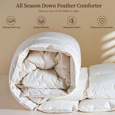 Inhand All Season Down Feather Comforter, Luxury Warm Fluffy Duvet Insert with Cotton Blend Cover