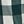 Green Ivory Check
