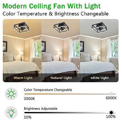 C Cattleya 11.75-Inch Black Dimmable Ceiling Fan with Light Kit, Remote and APP Control