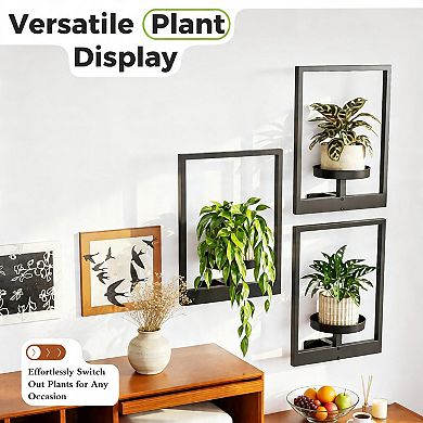 Hanging Wall Planter Pot For Home Outdoor Use