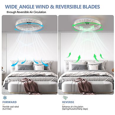 Acrylic Ceiling Fan Light with Remote Control, Dimmable LED Chandelier, 6-Speed Adjustable