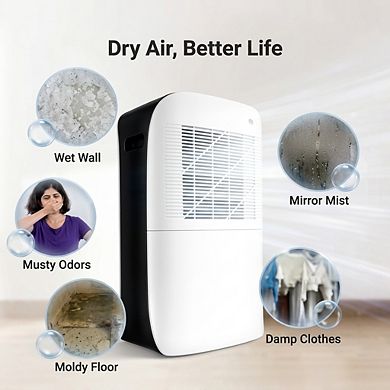 AIRPLUS 32 Pint Dehumidifier-Portable Dehumidifier with Laundry Mode,Dehumidifier for bedroom