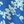 Bright Blue Mint