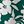 Dark Green White