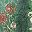 Green Floral