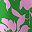 Green Pink Floral