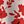 Red White Floral