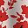 Red White Floral