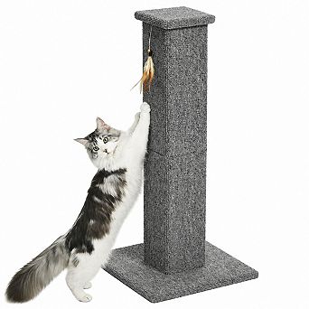 Petsfit 32 Inch Tall Cat Scratcher Sisal Rope Wide Base Feather Toy Indoor Cats Adults Kittens
