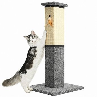 Petsfit 32 Inch Tall Cat Scratcher Sisal Rope Wide Base Feather Toy Indoor Cats Adults Kittens