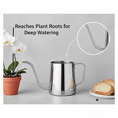 Small Watering Can Indoor Plants Long Spout 304 Stainless Steel 12 Oz Ergonomic Handle