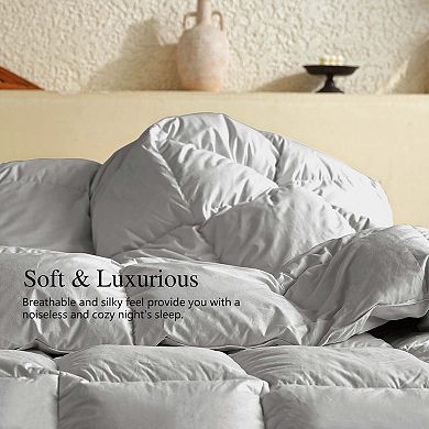 Inhand Goose Down Comforter - 100% Cotton Duvet Insert, Hotel Luxury Bedding for All Season