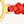 Gemini Yellow Gold