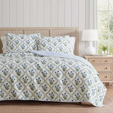 Martha Stewart Chloe Quilt Set