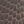 Dark Brown Croco
