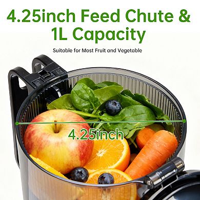 Cold Masticating Juicer, Wide 4.25" Chute, Anti-Clog, Easy Clean for Whole Fruits & Vegetables
