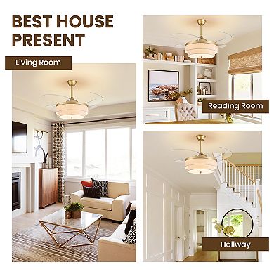 Moooni 48" Gold Drum Retractable Ceiling Fan with Light, Dimmable LED Fandelier with Remote & APP